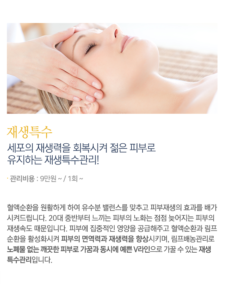 재생특수 내용