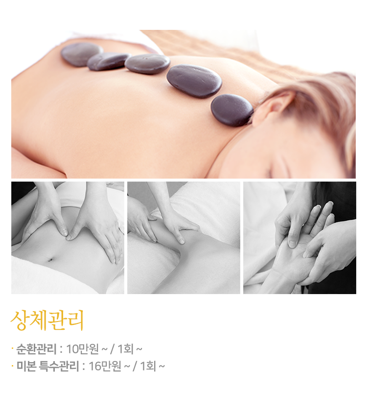 상체 내용