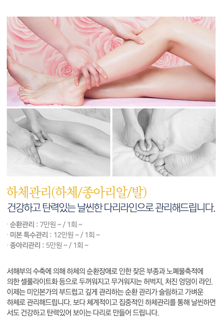 하체 내용
